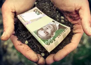 В Україні подешевшала суборенда державних сільськогосподарських земель  