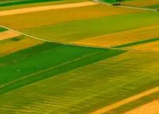 80% проблем між Україною і Польщею в аграрній сфері створені штучно - посол