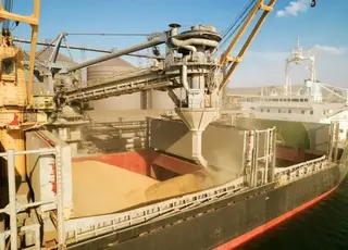 Україна втратила ключові ринки пшениці в Азії та Африці через переорієнтацію на ЄС