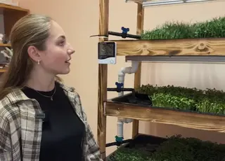 На Хмельниччині ліцеїсти вирощують мікрозелень