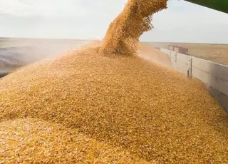 Румунія продовжила вимогу ліцензування для української агропродукції до кінця року