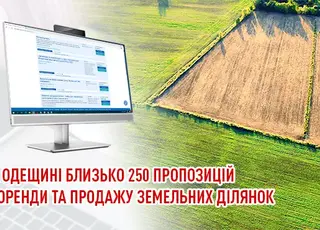На Одещині 250 пропозицій із оренди та продажу земельних ділянок