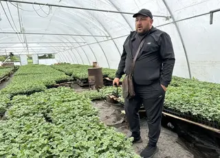 На Донеччині вирощують кавуни під обстрілами
