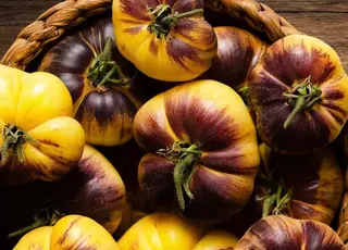 У Каліфорнії назвали томат року