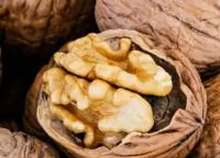 Експорт волоського горіха з України за підсумками 2025 року скоротився на 90%