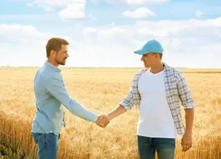 Спільна діяльність стає популярною формою залучення державних земель до обробітку