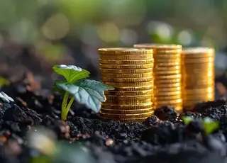 Земельні спори в Україні: чому вони виникають і як їх вирішити