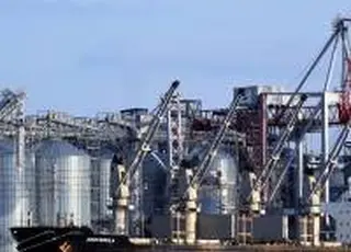 Ставки морського фрахту на перевезення зерна стабілізувалися