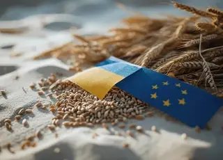 Євросоюз пообіцяв збільшити квоти на імпорт окремих видів агропродукції з України