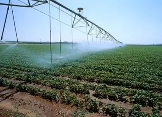 В Україні зросла кількість організацій водокористувачів: вже понад 60 об’єднань