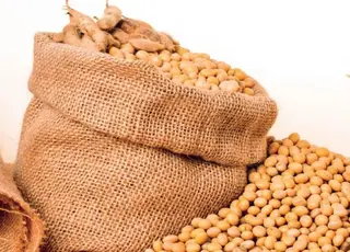 Українські митники запобігли незаконному експорту сої до Румунії