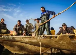 Рішення про виділення коштів на держпідтримку аквакультури розглядають обласні комісії