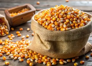 Озвучено оновлені ціни на фуражну кукурудзу в Україні