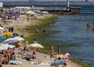 В Одесі після шторму пляжі вкрилися водоростями: залучили спецтехніку