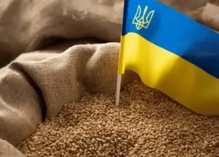 Ізраїль може обмежити імпорт зерна: що очікувати Україні
