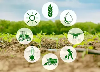 Що можна запатентувати в сільському господарстві: гід для фермерів