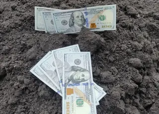 Вартість гектара землі в Україні продовжує зростати попри війну