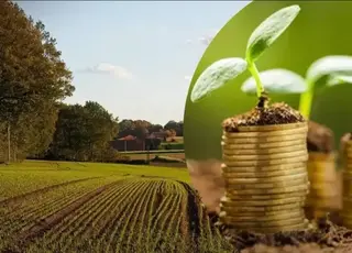 Вартість земельних ділянок на аукціонах «Земельного банку» зросла у 6 разів