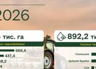 1,7 млн гектарів зернових засіяно: триває весняна кампанія в Україні