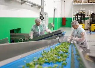 В Україні фермери можуть отримати гранти на переробку агровідходів