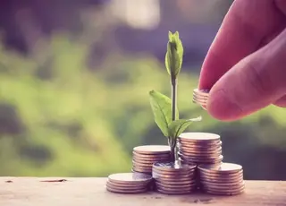 У 2025 р в Україні зросли інвестиції в нішеві культури та садівництво