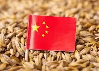 Україна відкрила експорт пшеничного борошна до Китаю