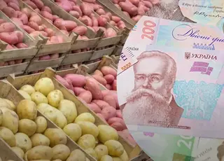 Ціни на картоплю в Україні можуть зрости вже за тиждень