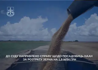 На Закарпатті судитимуть керівництво інституту НААН за розтрату зерна