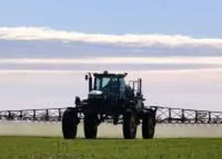 Tekom Agro Group звільнила посіви пшениці від падалиці ріпаку