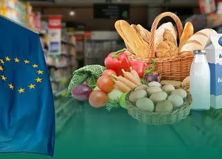 Високі квоти для експорту України диктує аграрне лобі в ЄС