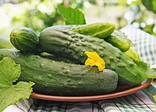 Зростання світових цін на рослинні олії через підвищений попит та зміни експорту