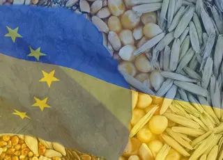 У ЄС планують збільшити квоти на експорт української агропродукції
