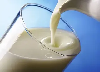 Як урожай кукурудзи вплине на ціни яєць та молочних продуктів в Україні