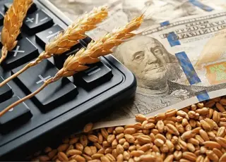 Озвучено оновлені ціни на зернові в Україні