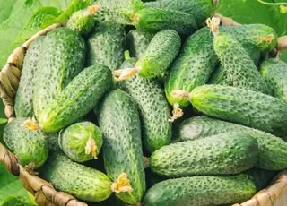 В Україні подешевшали огірки