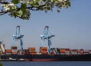 Українські морські порти досягли рекордної обробки контейнерів під час війни