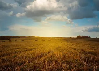 В Україні подорожчала сільськогосподарська земля