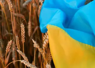 Україна реалізувала майже весь експортний потенціал пшениці, імпортери переорієнтовуються на новий сезон — аналітики