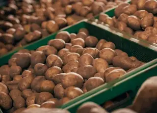 Чому українська картопля поки що не з’явиться на ринках ЄС: позиція виробників