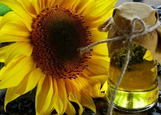 Україна формує майже половину світового експорту соняшникової олії