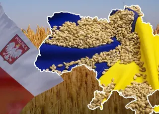 Польща наполягає на продовженні обмежень для українського зерна