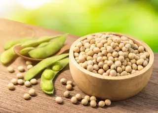 Ціни на сою в Україні зміцніліли на внутрішньому попиті