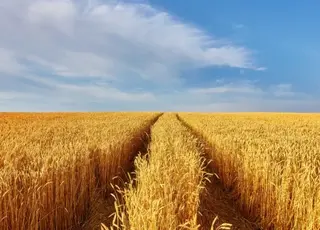 На Харківщині прокуратура вимагає повернути громаді майже 4 млн грн несплаченої оренди