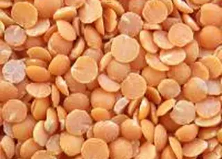 В Україні зростають площі під сочевицею