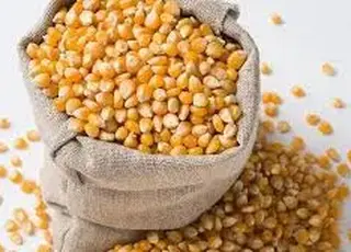 Кукурудза подорожчала на $2: порти відновлюються після обстрілів, а врожай застряг у полях