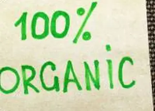 Основним ринком збуту українських органічних продуктів залишається Європа, яка купує 93% товарів - Висоцький