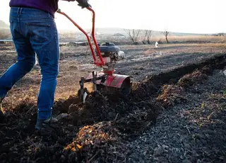 Як діяти, якщо хтось обробляє вашу землю без згоди