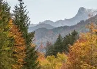 Уряд продовжив обмеження експорту стратегічної сировини у 2026 році