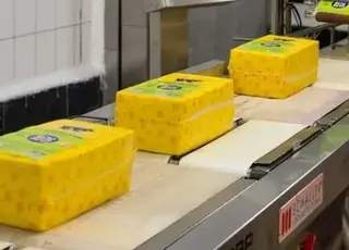 Виробництво сирів та молочної продукції в Україні за січень–серпень 2025 року