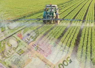 Підприємства АПК у I кв 2025 р очолили рейтинг найзбитковіших видів економічної діяльності